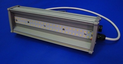 Прожектор светодиодный уличный СВЛ-24, 5000-5500 K, 24 Вт, 250х75х75 мм